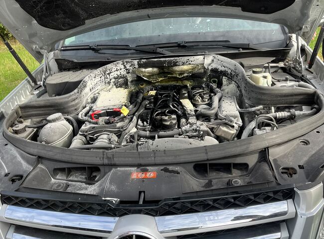 Der Motor eines Mercedes mit Schmutz und Spinnweben unter der geöffneten Motorhaube ist sichtbar.